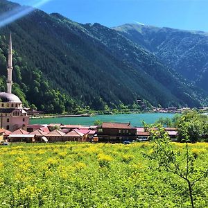 Ilhan Suite Hotel